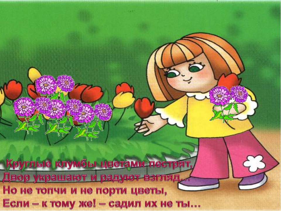 Замечательный собрать. Девочка рвет цветы на клумбе. Дети рвут цветы с клумбы. Сорвал цветы с клумбы. Не рвать цветы картинки для детей.